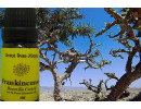 Frankincense